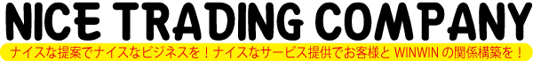 ナイストレーディングカンパニー合同会社,社名ロゴ１