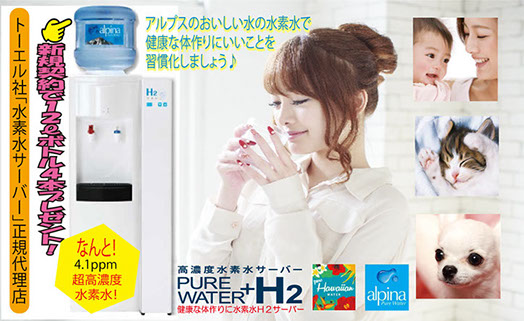 ナイストレーディングカンパニー合同会社トーエルサーバーイメージ写真１